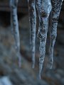 IMG_0102