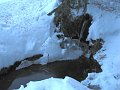 IMG_0107