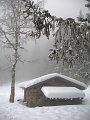 IMG_0121