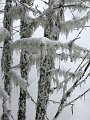 IMG_0126