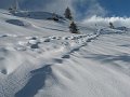 IMG_0130