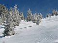 IMG_0131