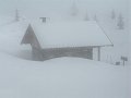 IMG_0132