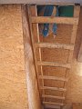 IMG_0137