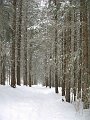 IMG_0144