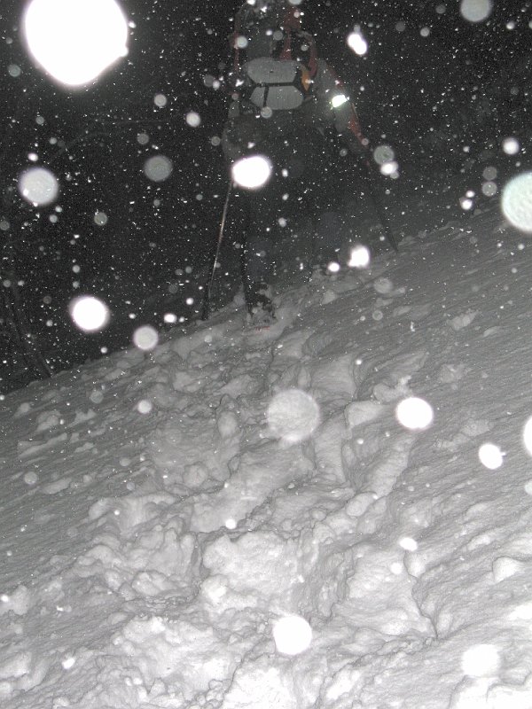 IMG_0184.JPG - ça tombe à gros flocons !
