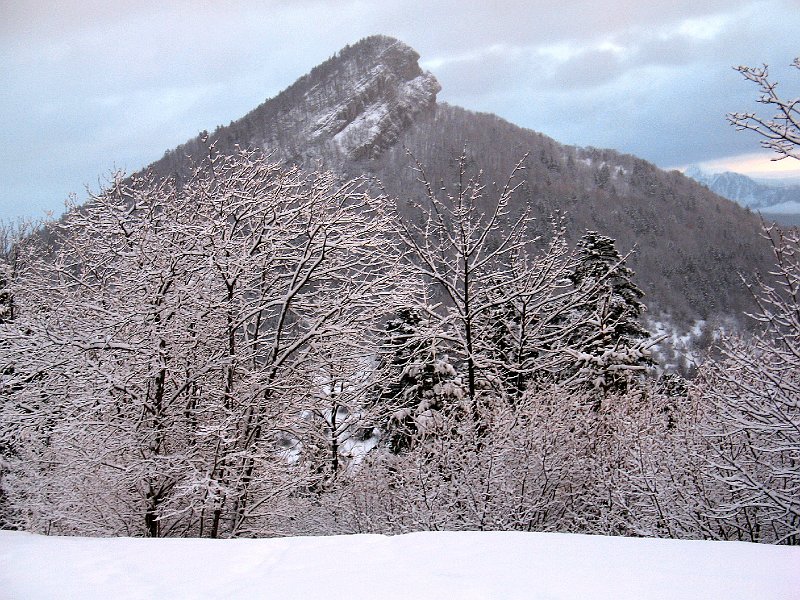 IMG_0199.JPG - rocher de l'Eperrimont