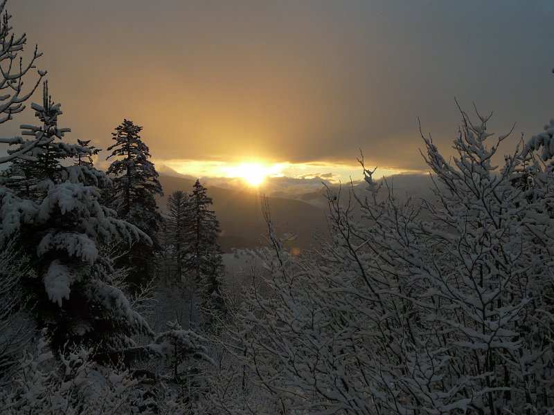 P1000329.JPG