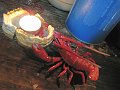 IMG_0189