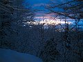 IMG_0194