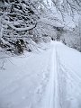 IMG_0197