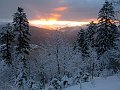 IMG_0198