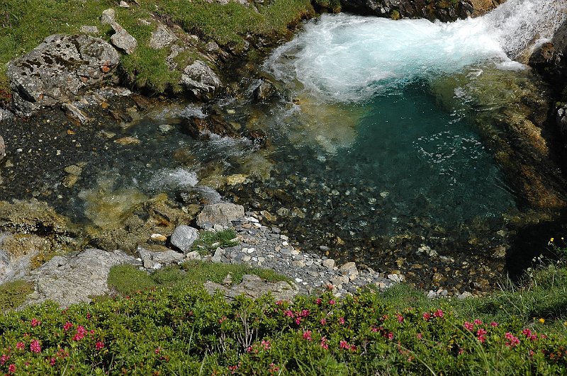 DSC_2790.JPG