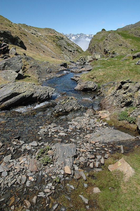 DSC_2795.JPG