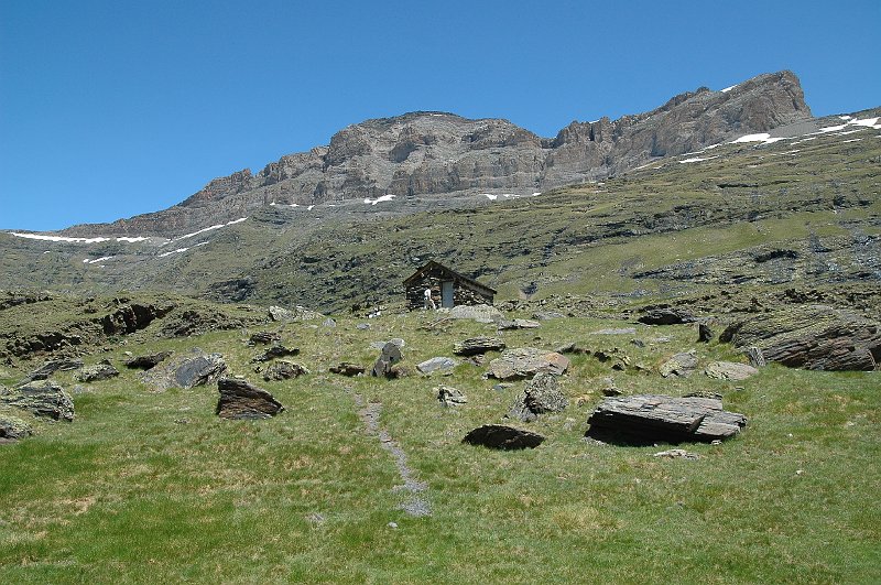 DSC_2796.JPG