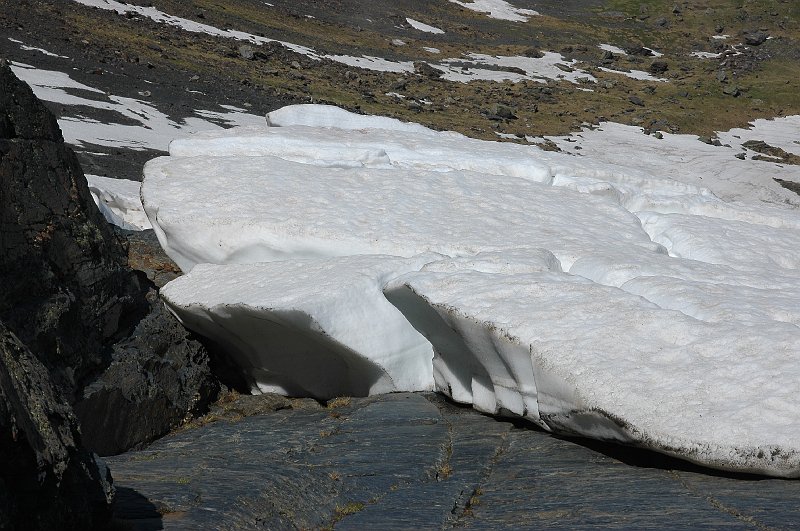 DSC_2807.JPG