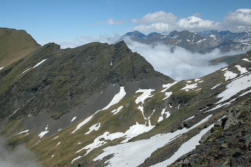 DSC_2809.JPG