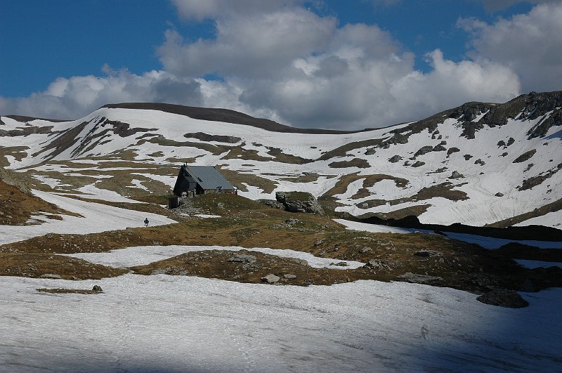 DSC_2829.JPG