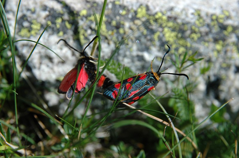 DSC_2860.JPG