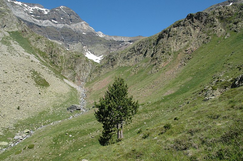 DSC_2862.JPG