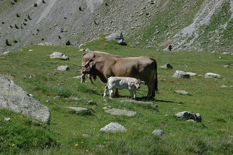 DSC_2863.JPG