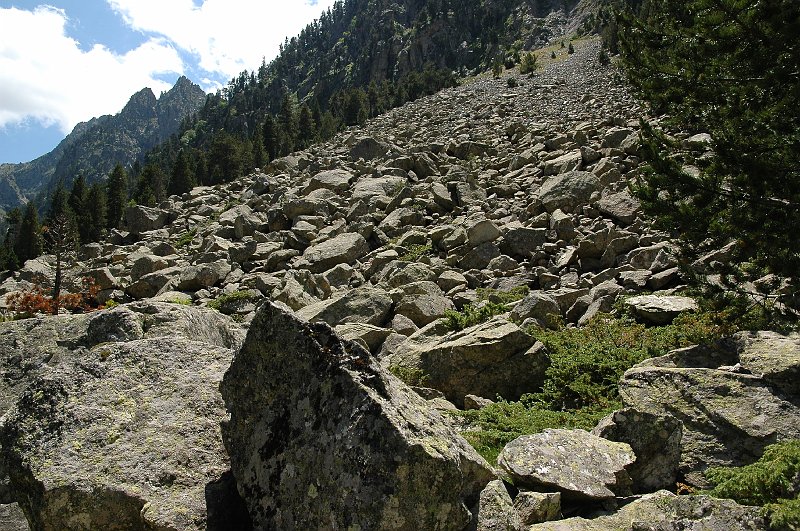 DSC_2868.JPG