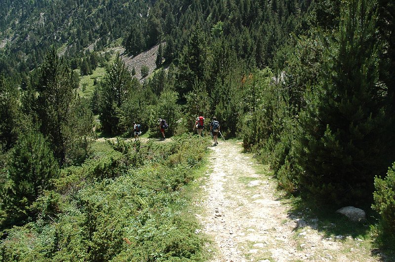 DSC_2869.JPG