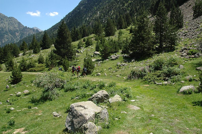 DSC_2870.JPG