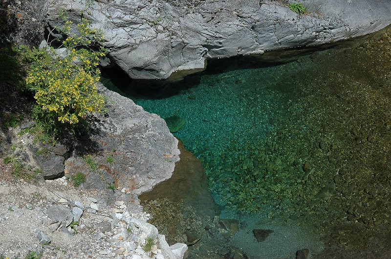 DSC_2873.JPG