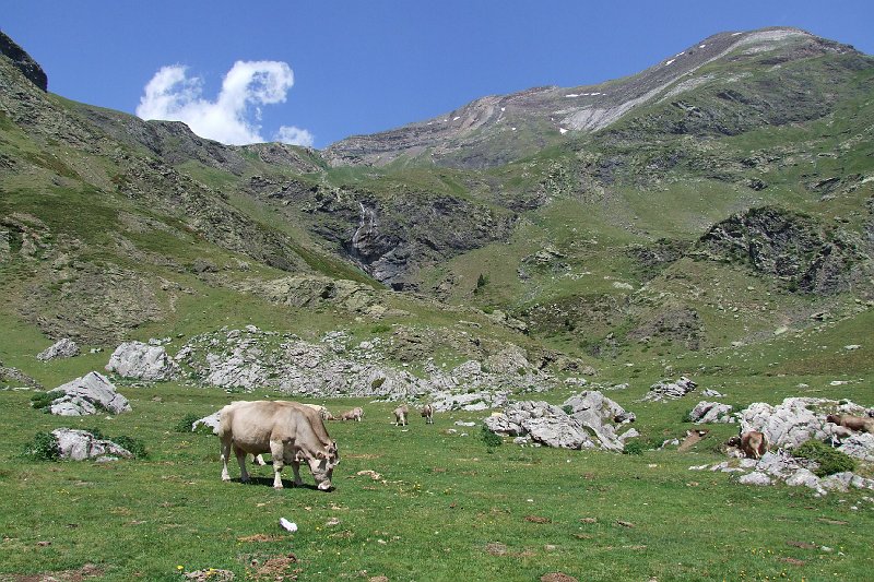 2008-07-09,12-44-49.jpg