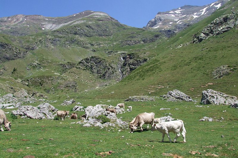 2008-07-09,12-45-05.jpg