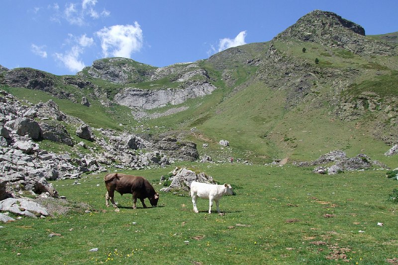 2008-07-09,12-45-27.jpg