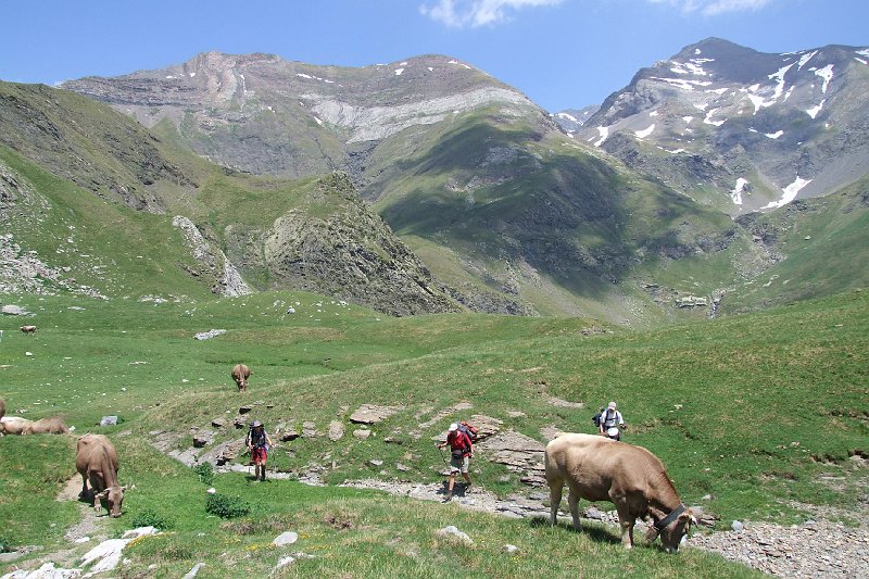2008-07-09,13-12-12.jpg