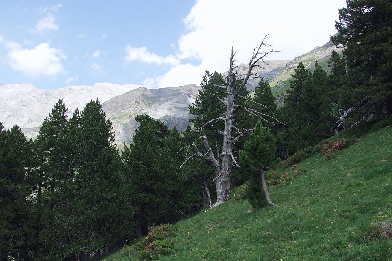 2008-07-09,15-56-25.jpg
