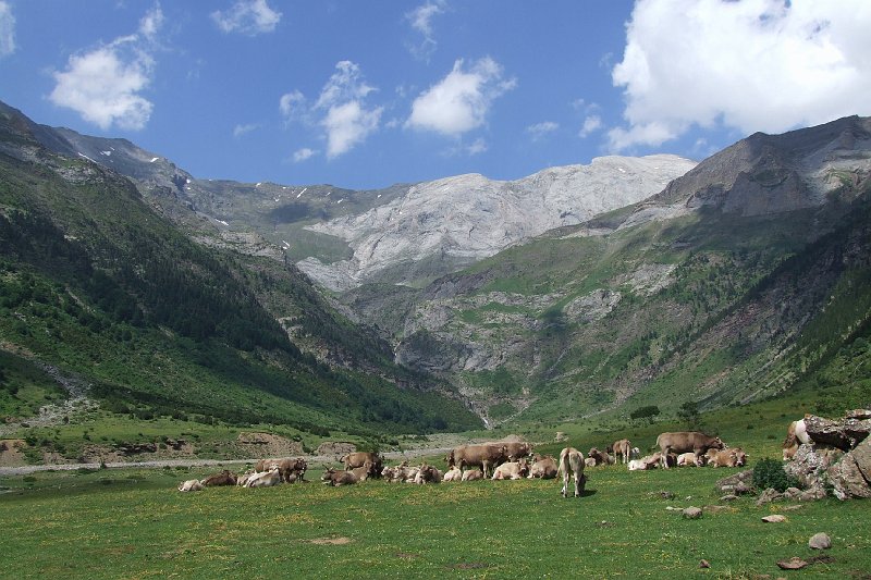 2008-07-09,16-27-31.jpg