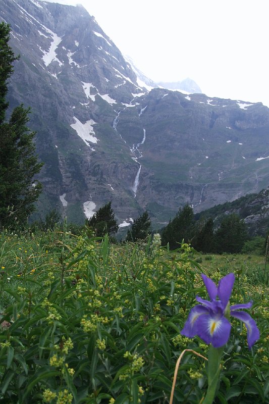 2008-07-09,16-45-47.jpg