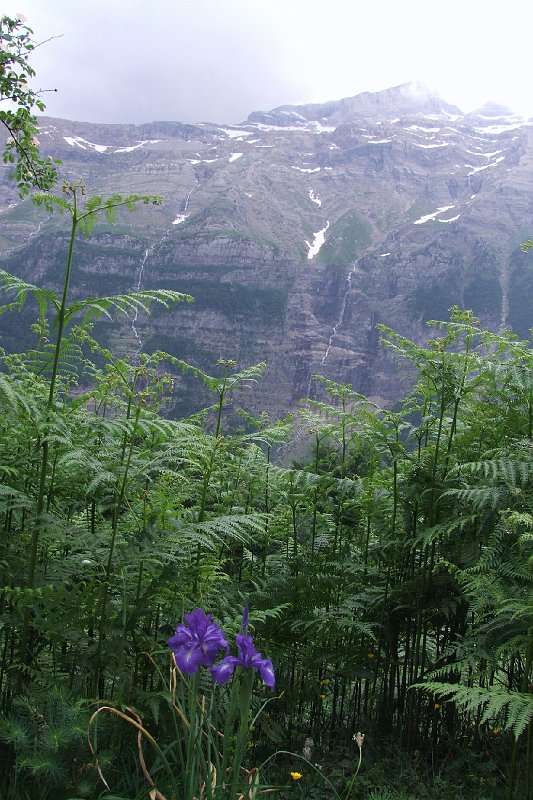 2008-07-09,16-52-59.jpg