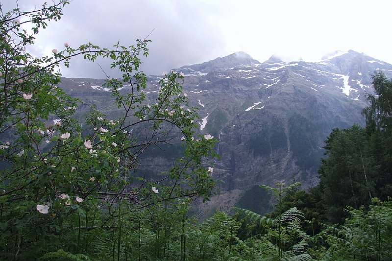 2008-07-09,16-53-13.jpg