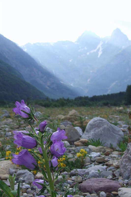 2008-07-09,18-55-42.jpg