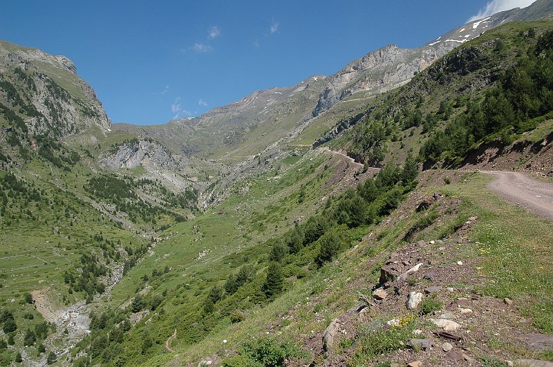 DSC_2894.JPG