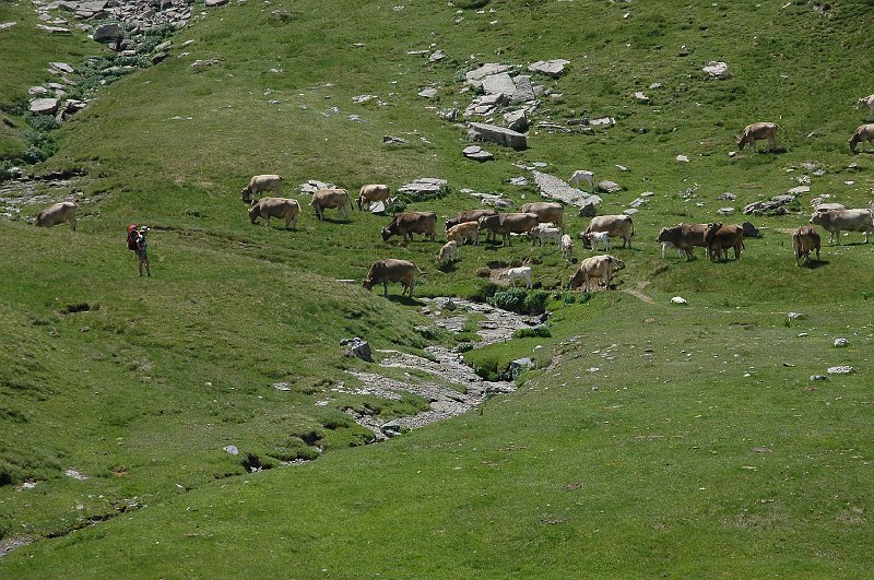 DSC_2903.JPG