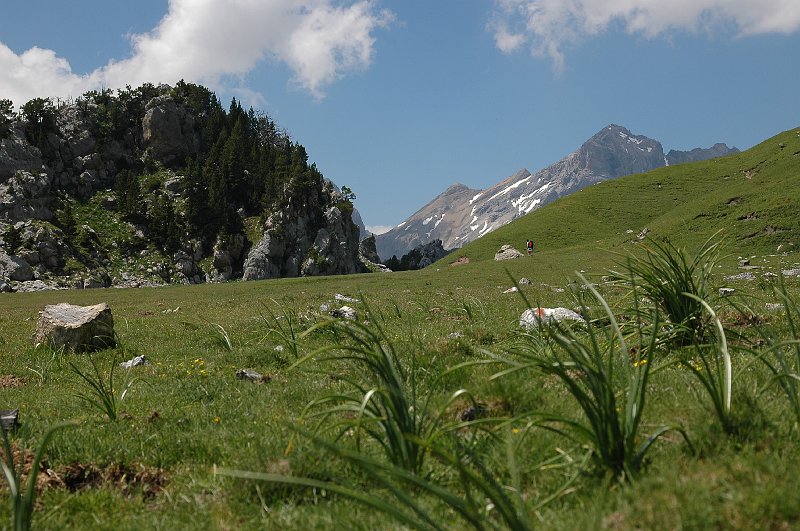 DSC_2904.JPG