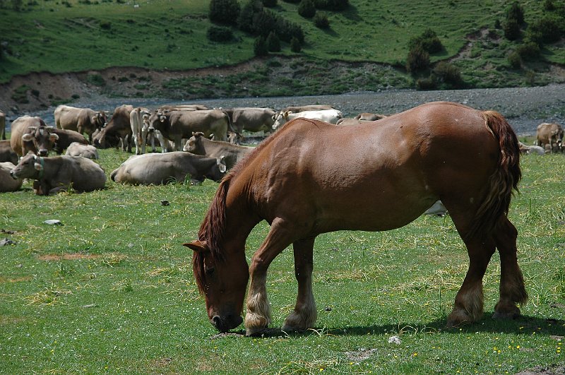 DSC_2922.JPG
