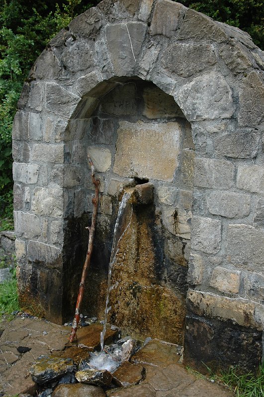 DSC_2925.JPG