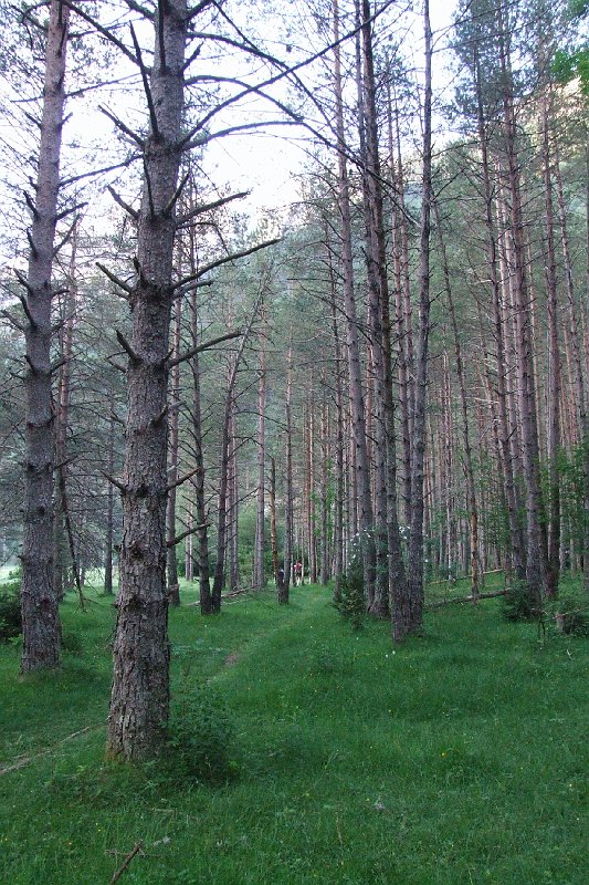 2008-07-10,07-29-30.jpg