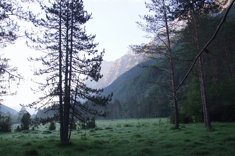 2008-07-10,07-30-22.jpg