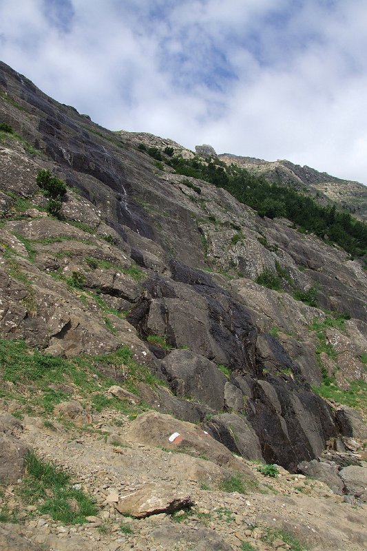 2008-07-10,09-15-36.jpg