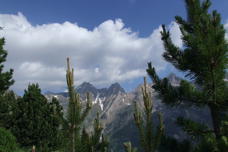 2008-07-10,09-50-33.jpg
