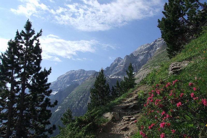 2008-07-10,09-51-38.jpg