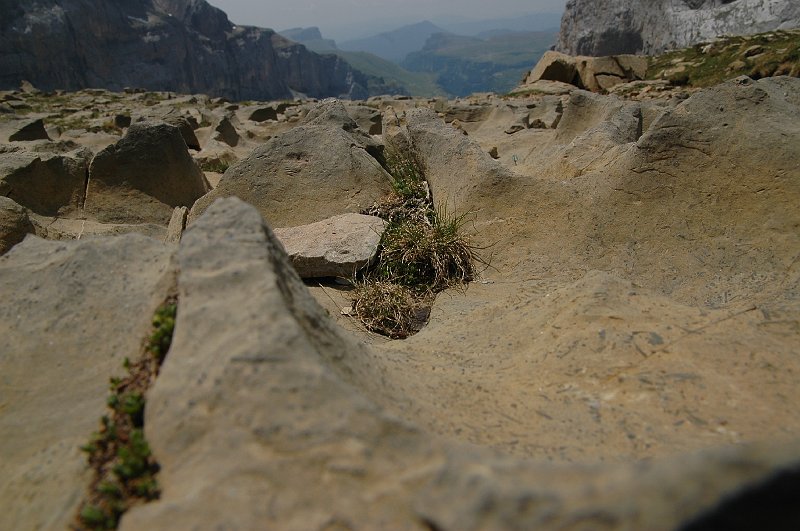 DSC_2953.JPG